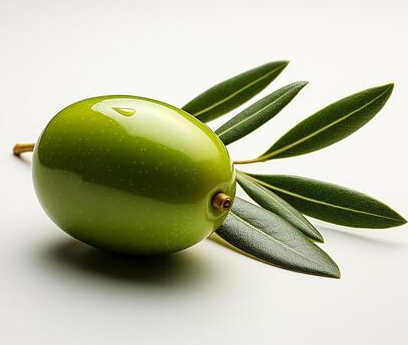 Olive extract